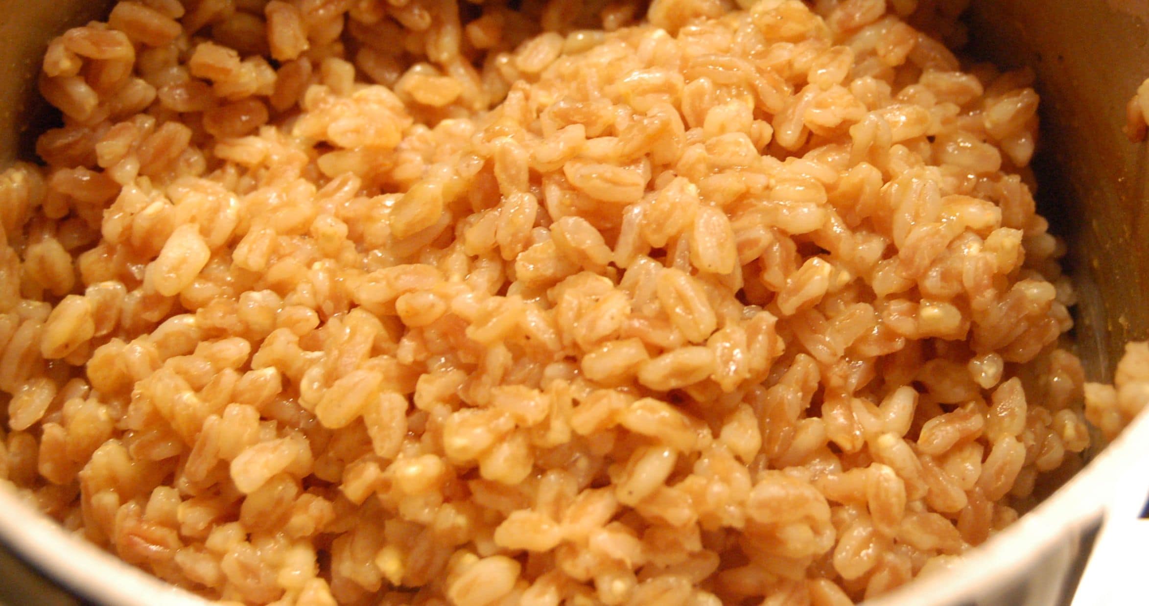 farro ancient grain