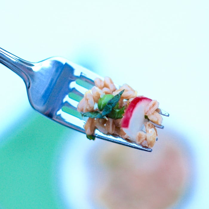 fork of pea and radish farro salad close up of farro salad on fork