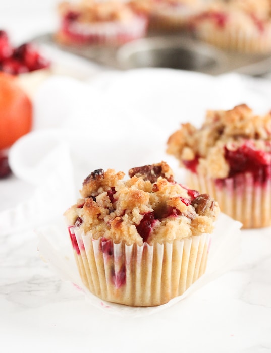 Cranberry Orange Pecan Streusel Muffins @ Lively Table Cranberry Orange Pecan Streusel Muffins @ Lively Table