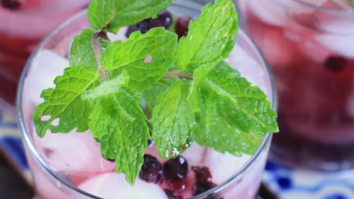 Image for Wild Blueberry Ginger Mint Green Iced Tea